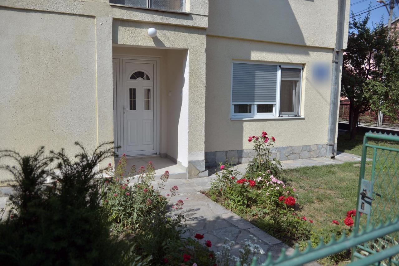 Affordable And Newly Renovated 1-Bedroom Apartment Kraljevo Extérieur photo